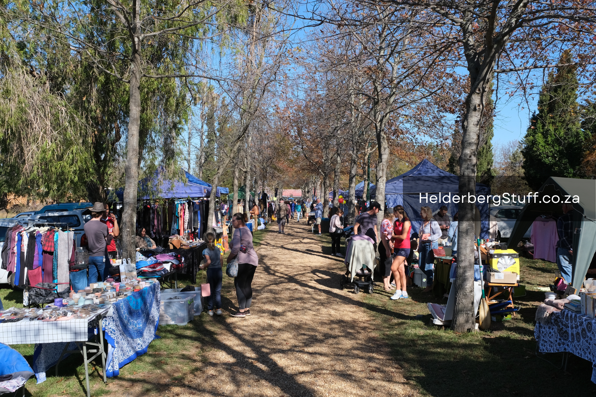 Car Boot Sale at Southey Vines