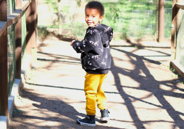 Our first visit to Monkey Town Somerset West became our last
