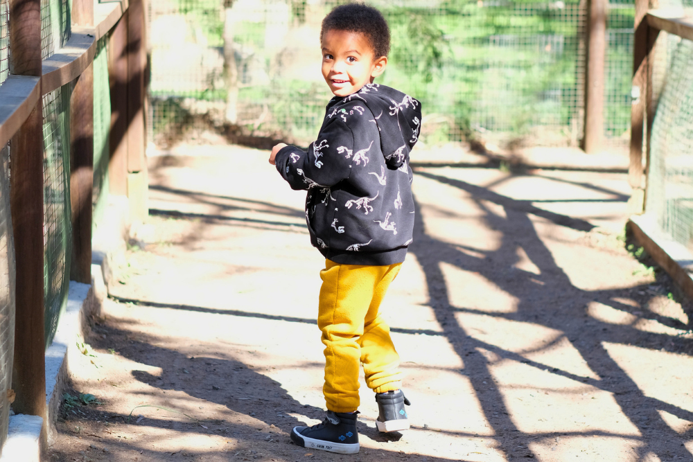 Our First Visit to Monkey Town Somerset West Became Our Last Before Its Closure