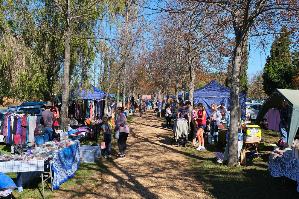 What We Found at the Southey Vines Car Boot Market in Somerset West