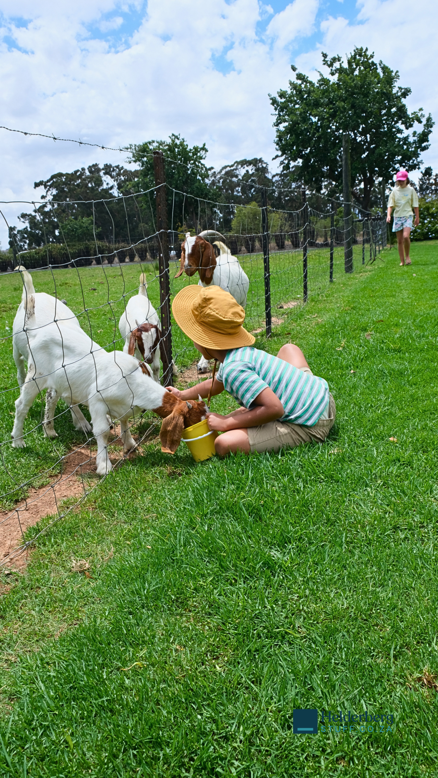 Fishing, Farm Animals and Family Fun: Our Huckleberry Fish Farm Experience
