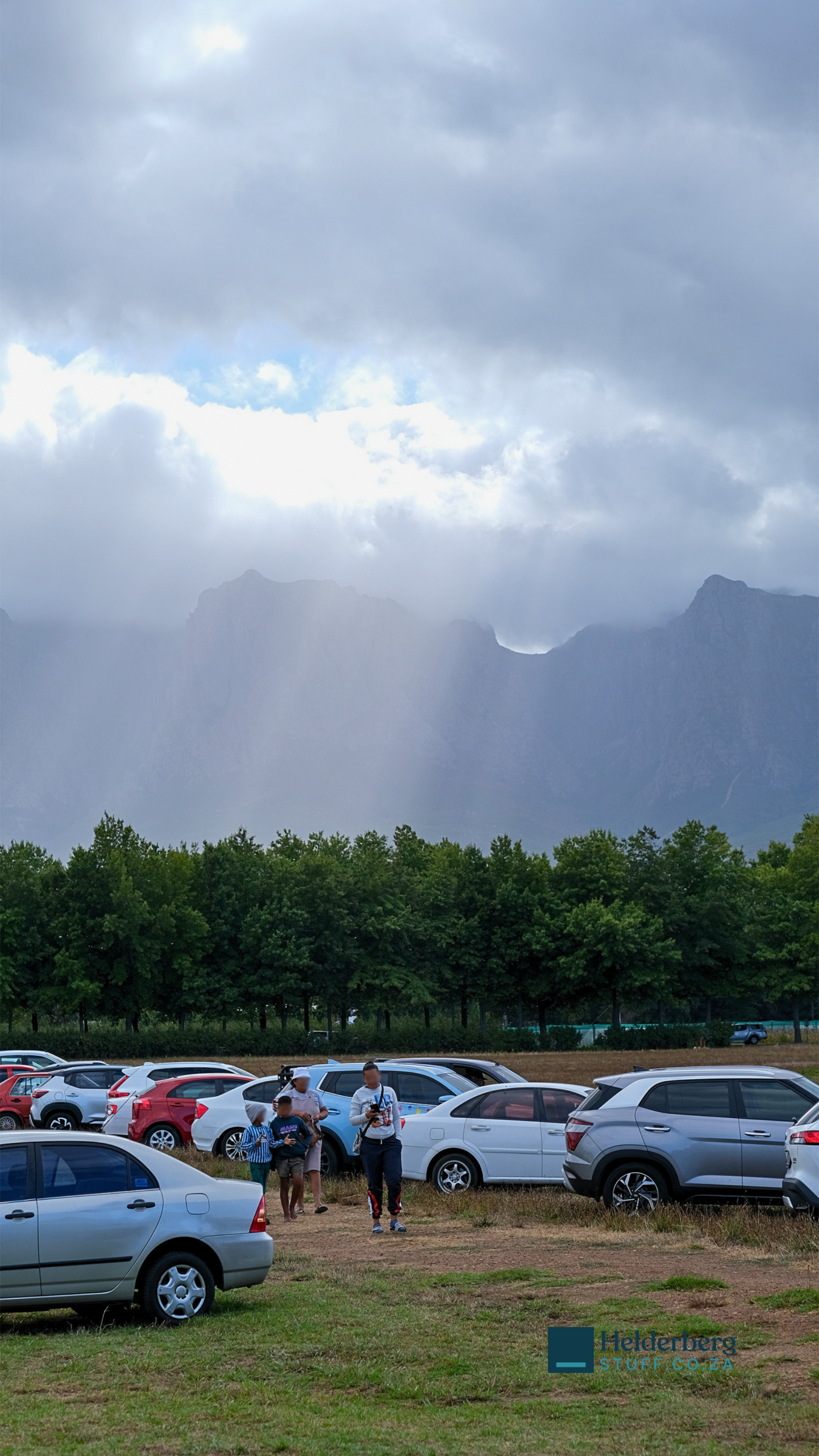 Somerset West families head to Lourensford Estate for the 2026 Hanepoot Harvest