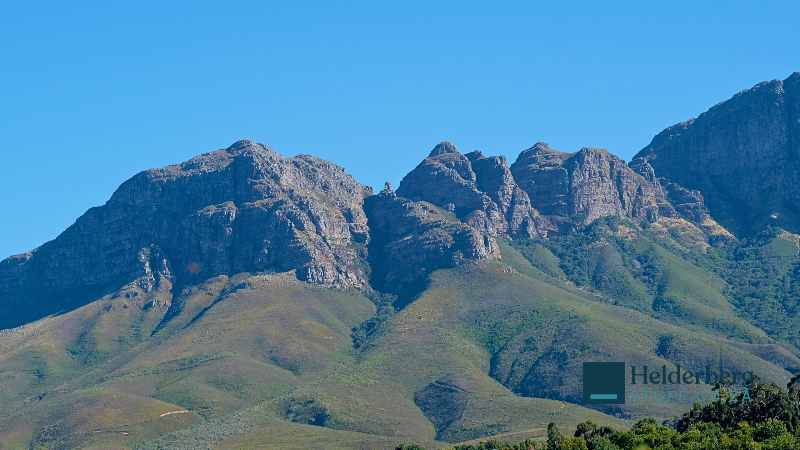 Lourensford Estate Hanepoot Harvest brings Somerset West locals to the vineyards for a second week