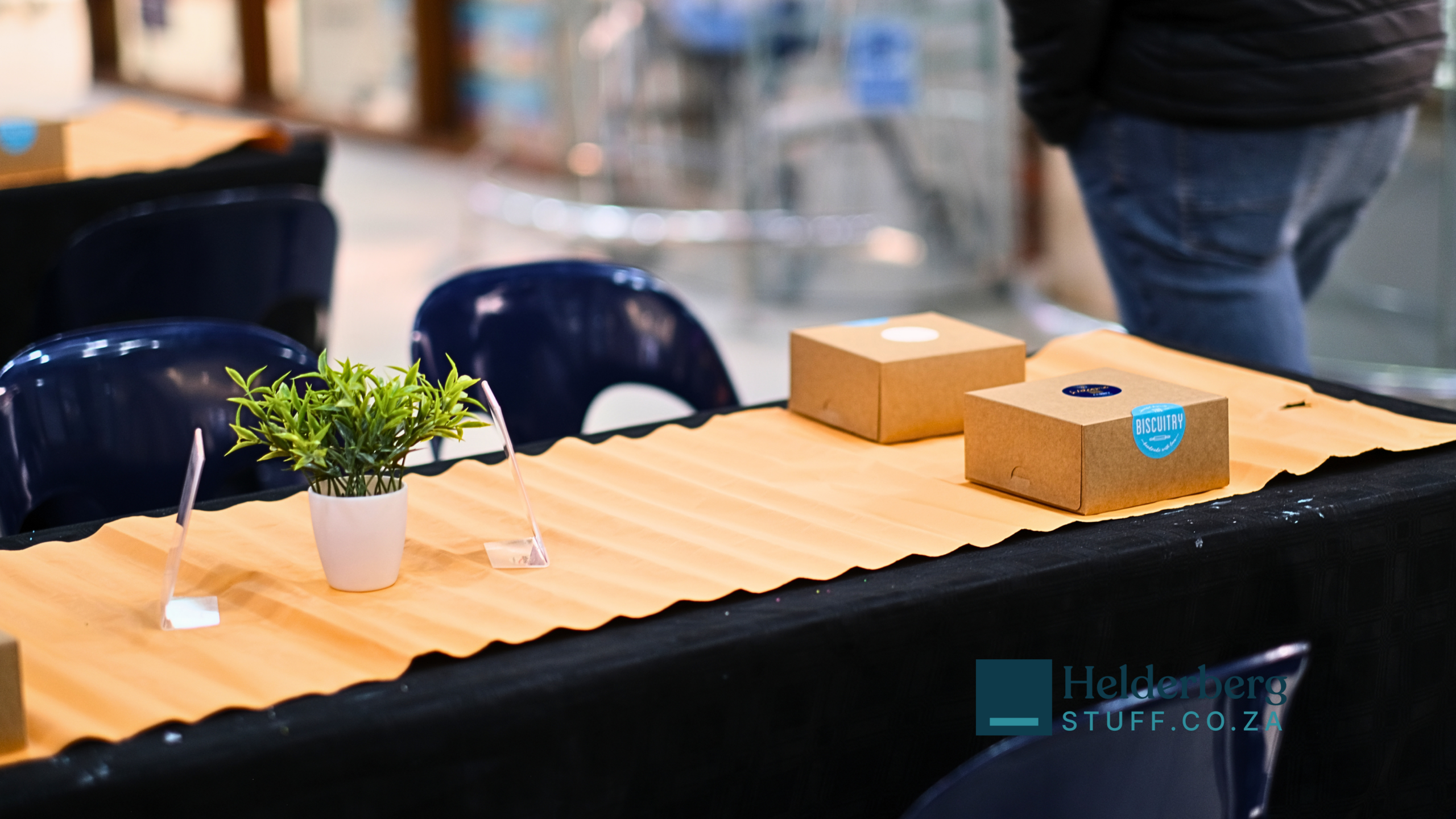 Curro Somerset West Sitari Estate brings winter crafts and cookie decorating to Waterstone Village