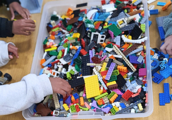 Somerset West Public Library hosts monthly LEGO building sessions with Brick Club SA