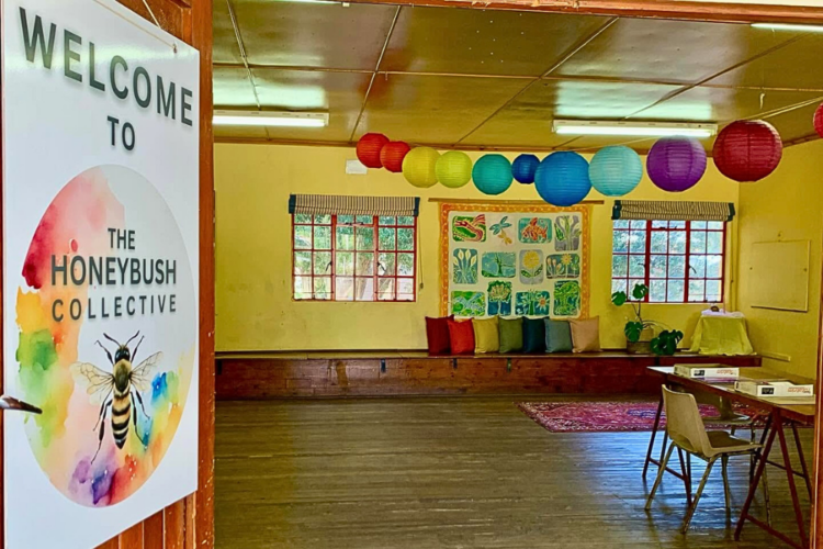 Somerset West Primary School The Honeybush Collective to Host Spring Market and Open Day
