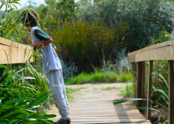 Spending Heritage Day at Helderberg Nature Reserve