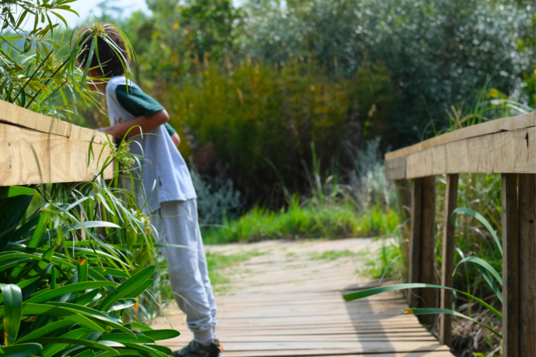 Spending Heritage Day at Helderberg Nature Reserve